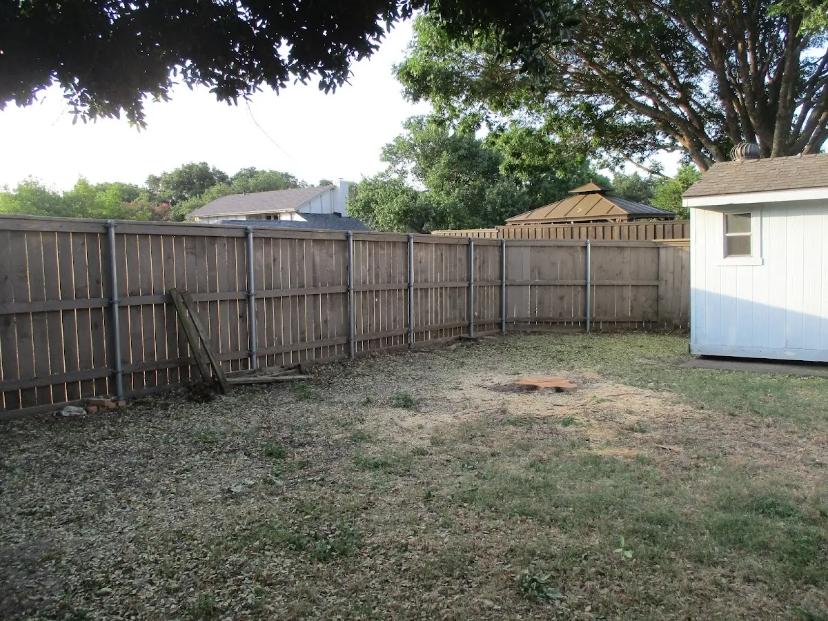 Cleared yard after professional tree removal in Oviedo